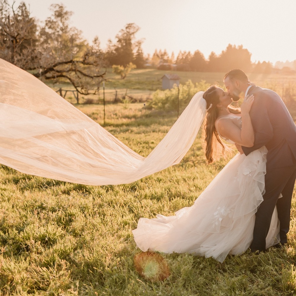 Nouvelle - Classic Sheer Tulle Cathedral Length Veil - Ivory